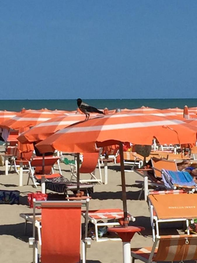 Verde Mare "Appartamenti Per Vacanze" Tortoreto Exteriör bild
