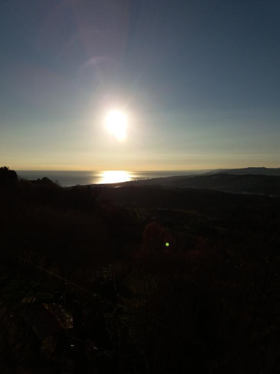 Verde Mare "Appartamenti Per Vacanze" Tortoreto Exteriör bild